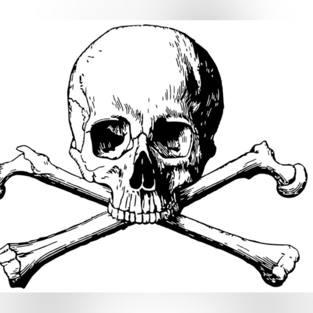 Meet your Posher, PA